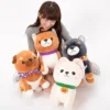 Mameshiba San Kyodai Halloween Dog Plush Collection (Big) -Featured Toys 2b6cd956db7d47118227d9c0cf0fc218.jpg