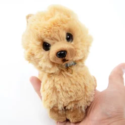 PUPS! Small Pomeranian Plush -Featured Toys 2c20c135452742aaa4dfd9c269d6481e.jpg