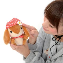 Pote Usa Loppy Zukin Rabbit Plush Collection (Standard) -Featured Toys 3783a275ee004babacbb19336aba02ff.jpg