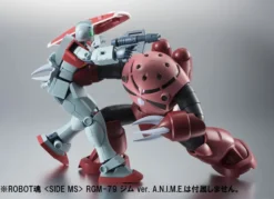 Bandai Robot Spirits Mobile Suit Gundam MSM-07S Z'GOK Char's Custom Model Ver. A.N.I.M.E. -Featured Toys 5c5045ca5fcd4ebabf49a188e1304421.jpg