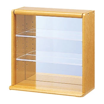 Mini Collector's Case 12 Mini Collector's Case - Image 10