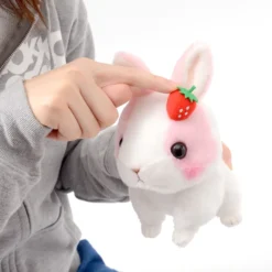 Kyun To Naki Usagi Noichigo Pika Plush Collection (Standard) -Featured Toys 6e224fc4375b4525be3eef5c9ff244f9.jpg