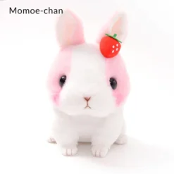 Kyun To Naki Usagi Noichigo Pika Plush Collection (Standard) -Featured Toys 6f9d9c8c5b5248b89635651d20c698eb.jpg