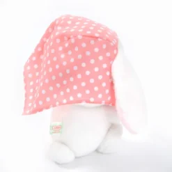Pote Usa Loppy Zukin Rabbit Plush Collection (Standard) -Featured Toys 9ba8a0802f644621905c52ba65076be2.jpg