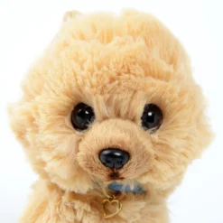 PUPS! Small Pomeranian Plush -Featured Toys c7476dd0a6a4401682b358764334a9ef.jpg